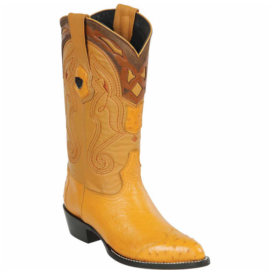 Buttercup Boots Collection - Premium Buttercup Boots at alligatorwarehouse.com