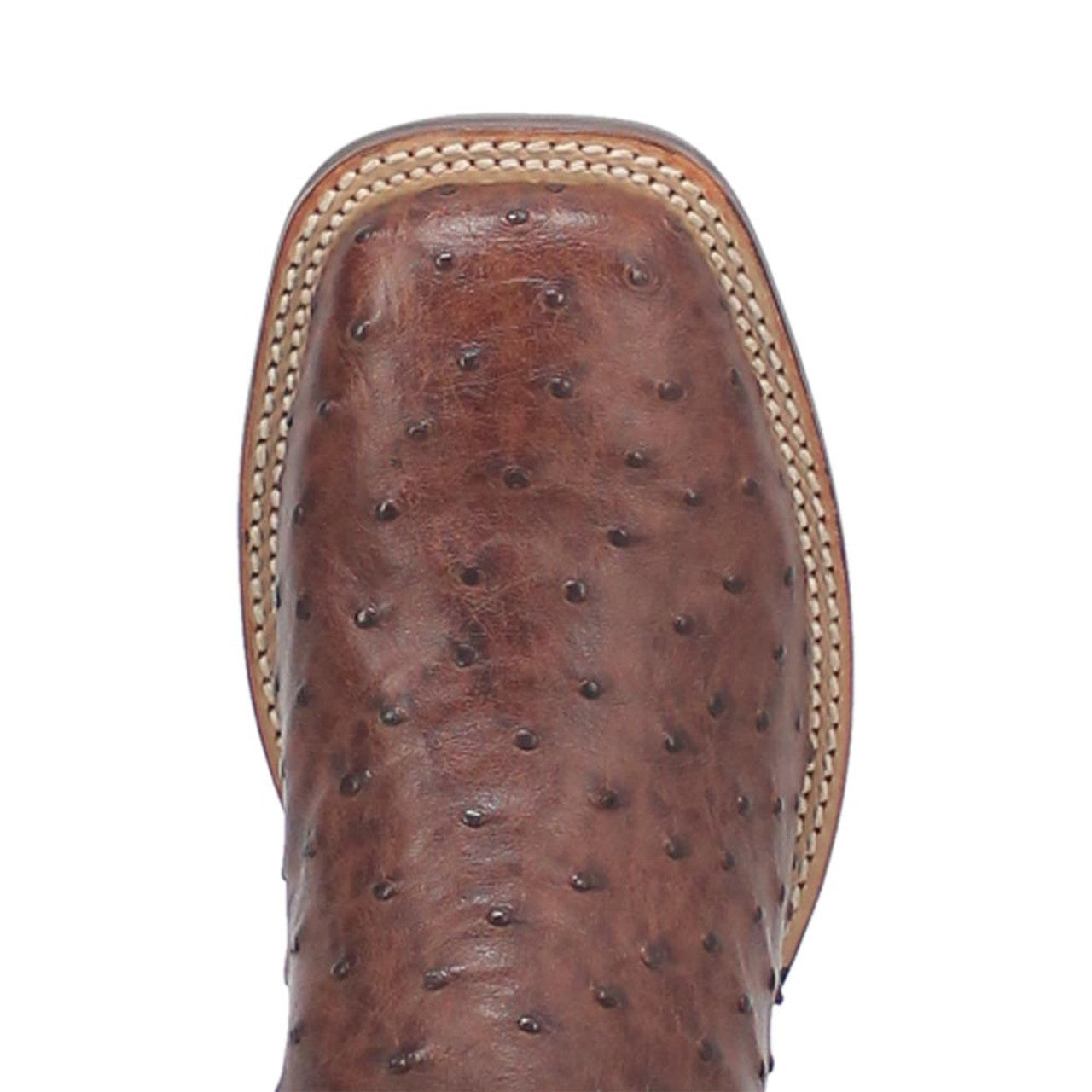 Dan Post Mens Alamosa Brown Genuine Ostrich 11 Square Toe Cowboy Certified Boot 3 DP3875_7_D  - from alligatorwarehouse.com