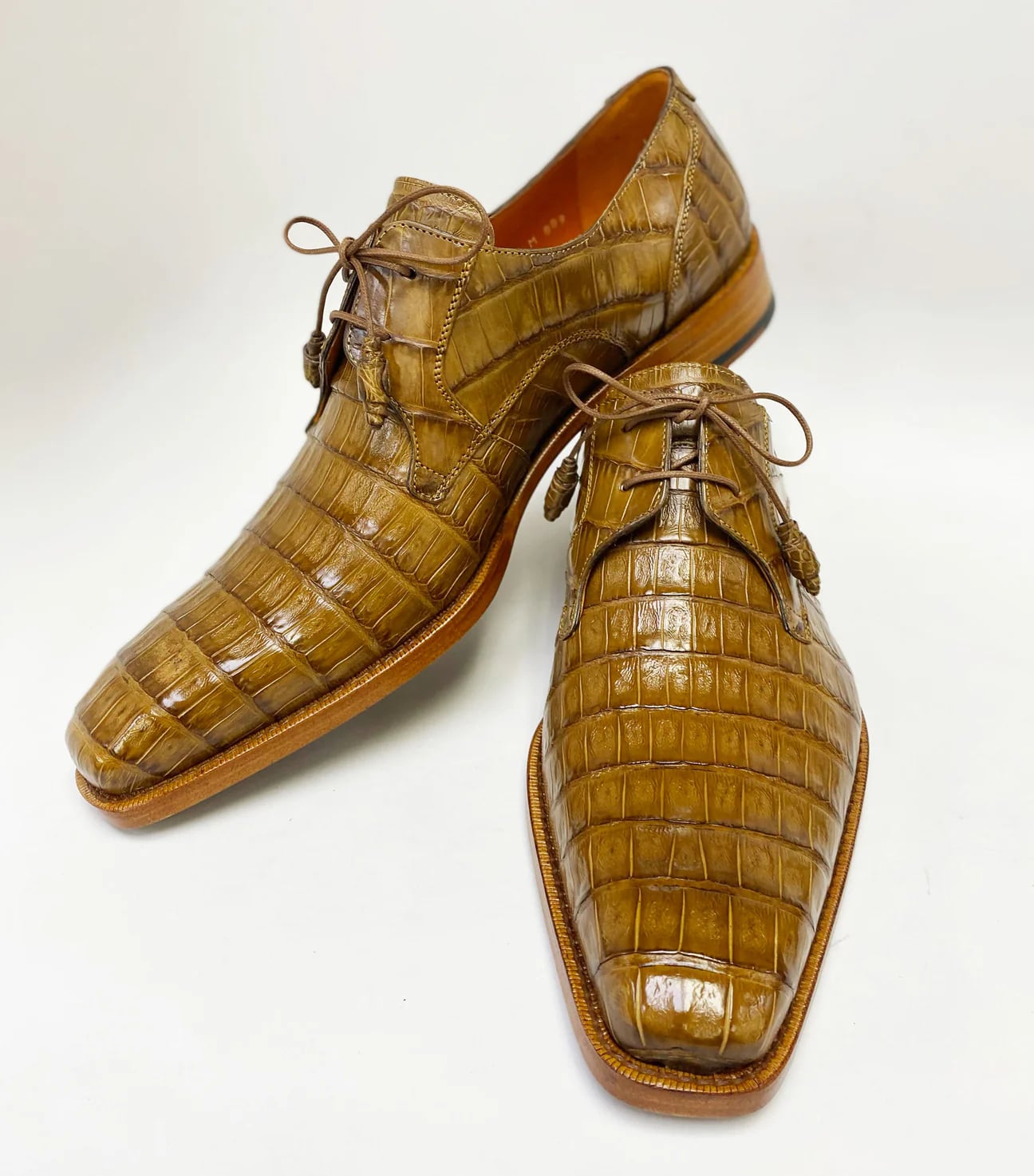 Anderson Crocodile Oxford Camel 3   - from alligatorwarehouse.com