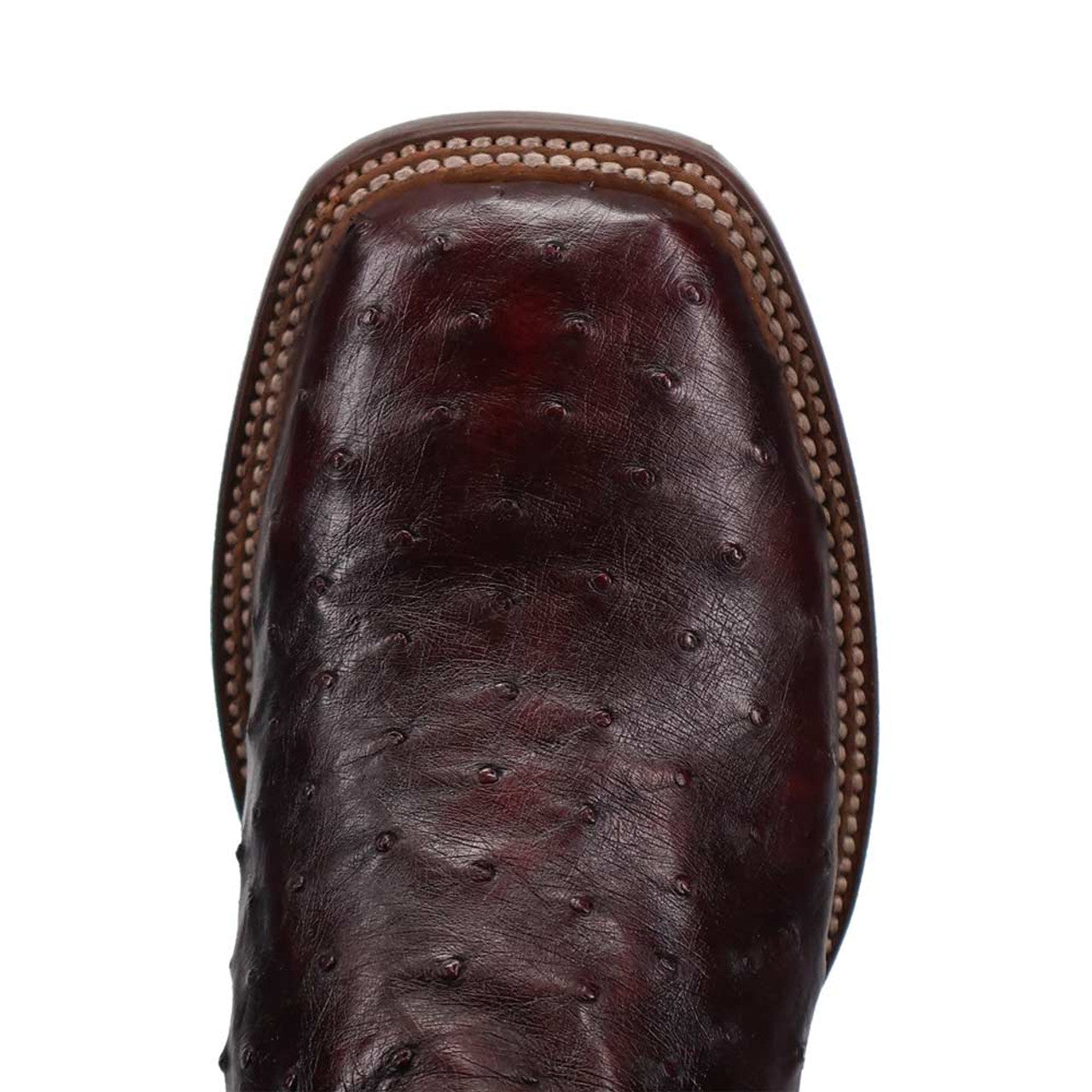 Dan Post Men’s Alamosa Black and Cherry Full Quill Ostrich Boots 5 DP5012_7_D  - from alligatorwarehouse.com