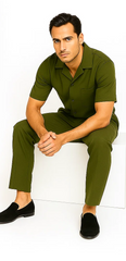 Mens Walking Suit in Color olive leisure suit causal Matching Shirt and Pants $99