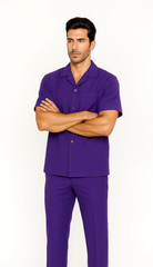 Mens Walking Suit in Color purple leisure suit causal Matching Shirt and Pants $99