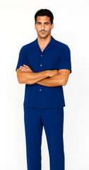Mens Walking Suit in Color royal blue leisure suit causal Matching Shirt and Pants $99