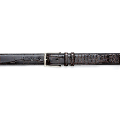 Mezlan Genuine Alligator Belt Dark Brown (AO7907)