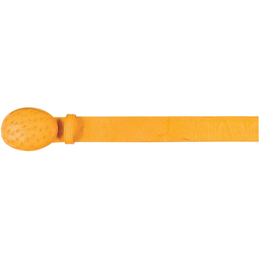 all brands products Collection - Premium all brands products at alligatorwarehouse.com