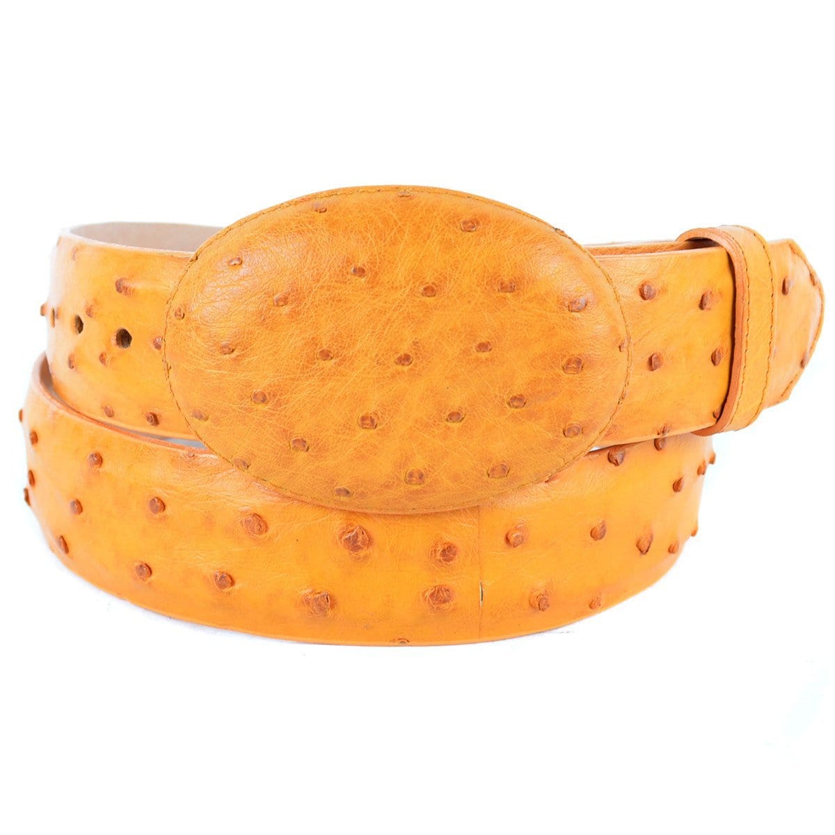 Men's Wild West Ostrich Skin Cowboy Belt 2C110302 1 2C110302-32  - from alligatorwarehouse.com