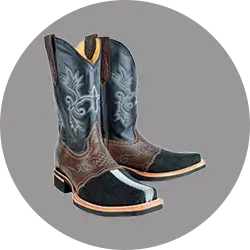 Stingray Cowboy Boots