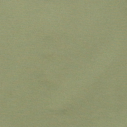 Men's Light Olive Two Piece Suit