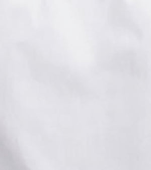 CARSON DRESS SHIRT Point Collar