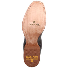 Dan Post Men's Freeman Brown/Gray Leather Western Boots