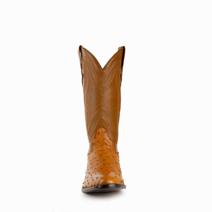 Ferrini Colt Ostrich Quill Medium Round Toe Cowboy Boot in Cognac