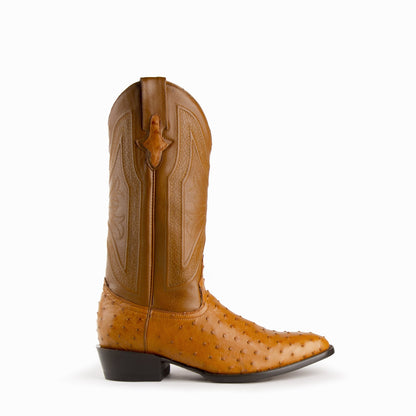 Ferrini Colt Ostrich Quill Medium Round Toe Cowboy Boot in Cognac