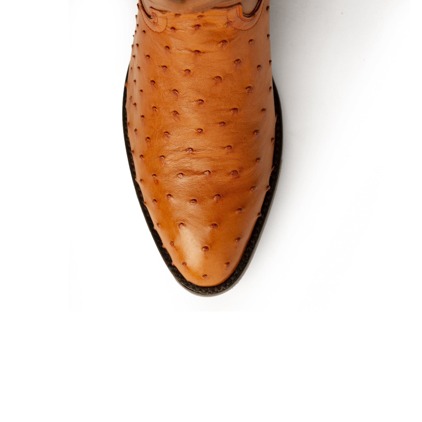 Ferrini Colt Ostrich Quill Medium Round Toe Cowboy Boot in Cognac