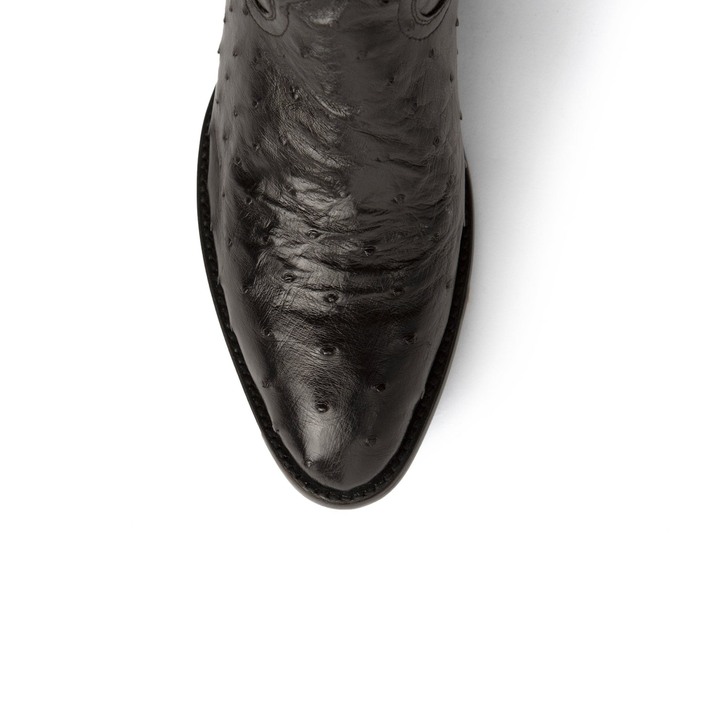 Ferrini Colt Ostrich Quill Medium Round Toe Cowboy Boot in Black