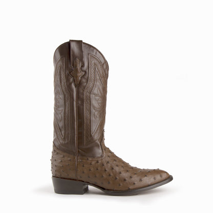Ferrini Colt Ostrich Quill Medium Round Toe Cowboy Boot in Brown