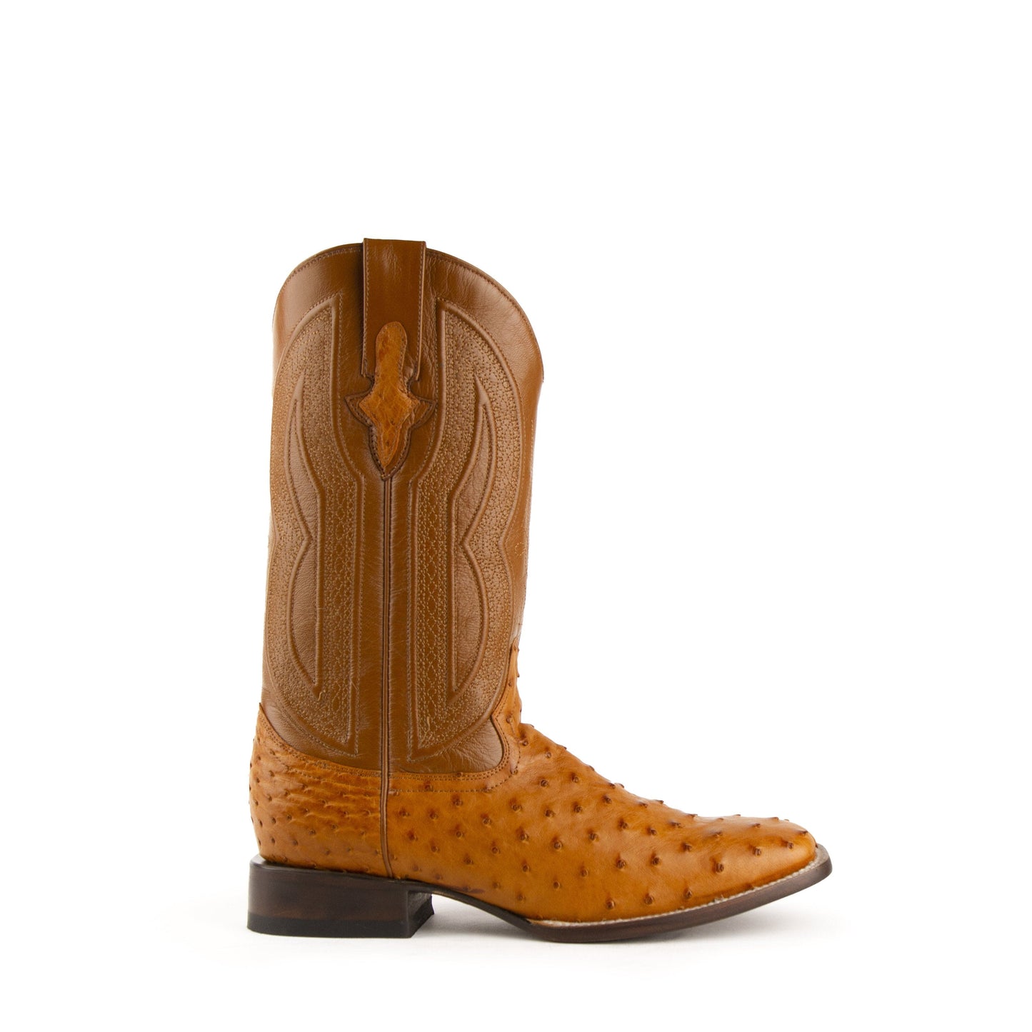 Ferrini Colt Ostrich Quill Square Toe Cowboy Boot in Cognac