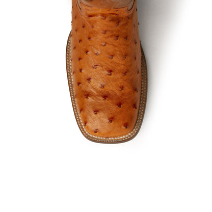 Ferrini Colt Ostrich Quill Square Toe Cowboy Boot in Cognac