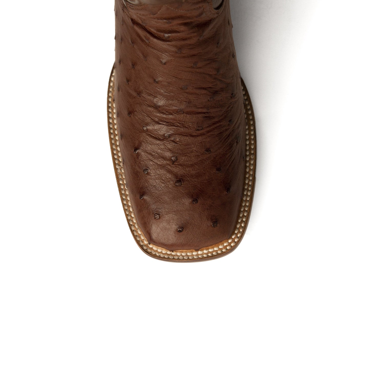 Ferrini Colt Ostrich Quill Square Toe Cowboy Boot in Kango Tabac