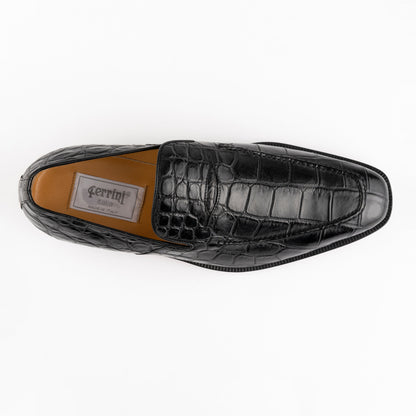 Alligator 3877
