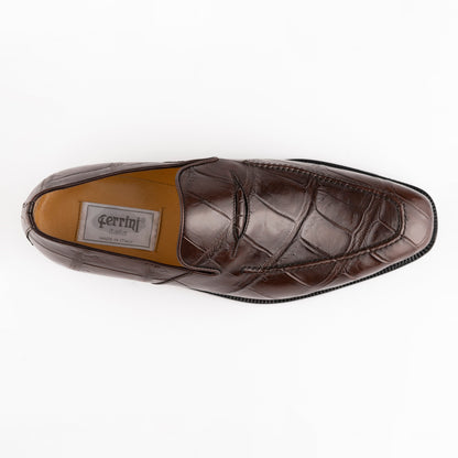 Alligator 3877