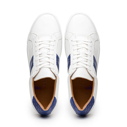 Zelli Olympias Crocodile-Trimmed Calfskin Sneakers in White and Navy