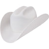 Cuernos Chuecos Texana Duranguense 2 -1  - from alligatorwarehouse.com