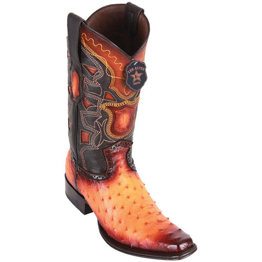 Buttercup Boots Collection - Premium Buttercup Boots at alligatorwarehouse.com