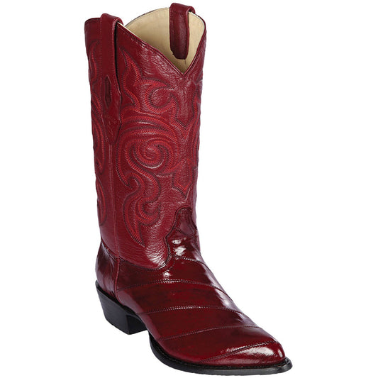 Newest Products Collection - Premium Newest Products at alligatorwarehouse.com