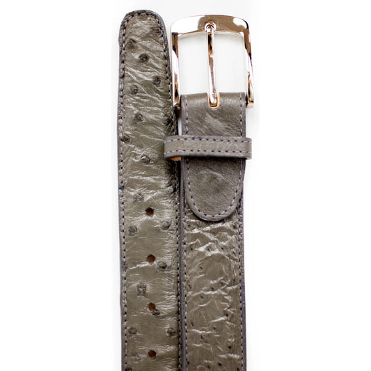Best Selling Products Collection - Premium Best Selling Products at alligatorwarehouse.com