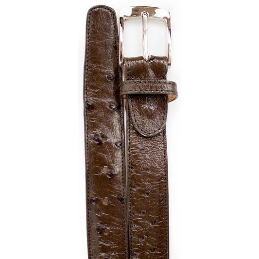 Best Selling Products Collection - Premium Best Selling Products at alligatorwarehouse.com