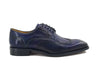 Blucher Style Wingtip Oxford 22 KS509-43GRAY75  - from alligatorwarehouse.com