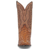 Dan Post Men’s Saddle Brown and Chocolate Tempe Full Quill Ostrich 12” Round Toe Leather Boot 5 DP2323_7_D  - from alligatorwarehouse.com