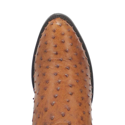 Dan Post Men’s Saddle Brown and Chocolate Tempe Full Quill Ostrich 12” Round Toe Leather Boot 2 DP2323_7_D  - from alligatorwarehouse.com