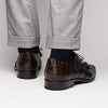 Marco Di Milano Luciano Men's Shoes Exotic Crocodile Classic Wingtip Dress Derby Oxfords 6 LUCIANO_CAIMAN FUSCUS_NAVY-BROWN_8  - from alligatorwarehouse.com