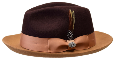 Bruno Capelo Damien Collection Dark Brown/Camel 1   - from alligatorwarehouse.com