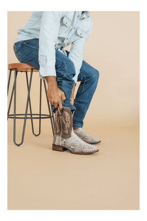 BRUTUS PYTHON BOOT