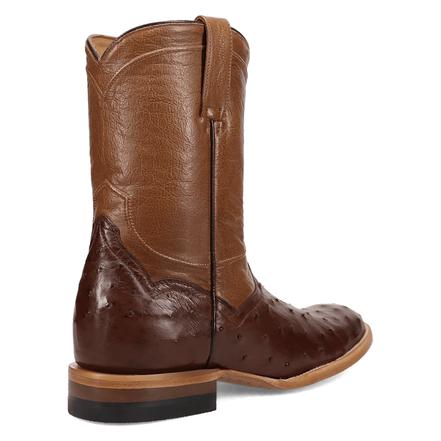 Dan Post Ardor Full Quill Ostrich Boot - Luxury Cowboy Boot