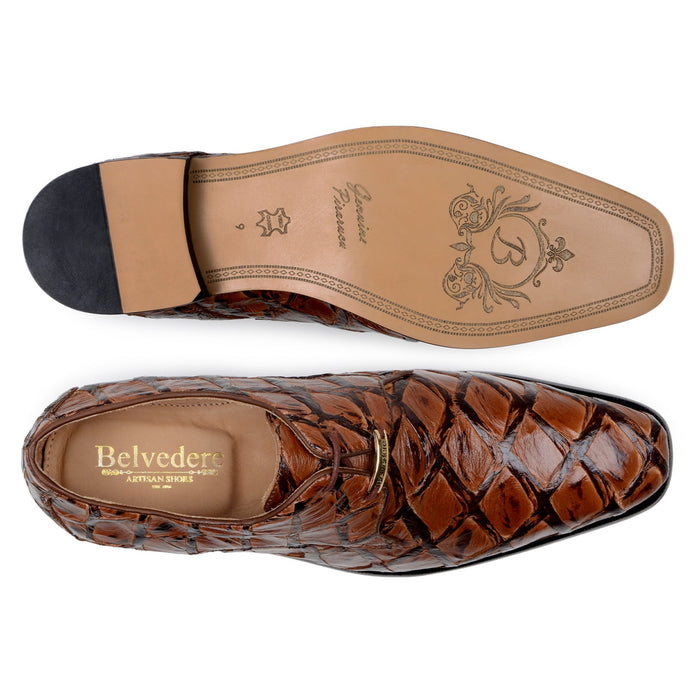 Belvedere Renzo - Antique Almond Alligator Oxford