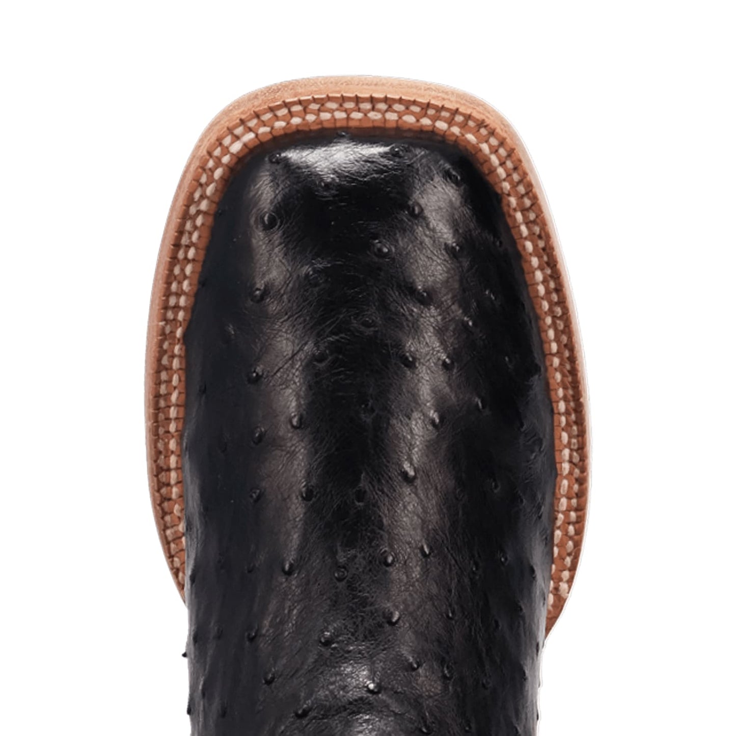 Dan Post Brannan Full Quill Ostrich Boot
