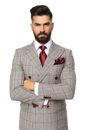 Grey with Red Plaid by Rossiman