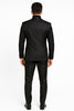 Mens Black Glitter Stripe Tuxedo with Satin Shawl Lapel – Slim Fit Formal Party Suit 2   - from alligatorwarehouse.com