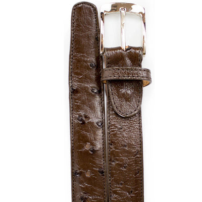 Men's Belvedere Genuine Ostrich Quill Dress Belt in Brown 1 MEN 2001 OSTRICH QUILL BROWN-44 BELT  - from alligatorwarehouse.com