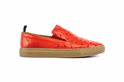 P01304 Grafton Genuine Ostrich Fashion Loafer- Brick