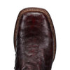 Dan Post Men’s Alamosa Black and Cherry Full Quill Ostrich Boots 5 DP5012_7_D  - from alligatorwarehouse.com