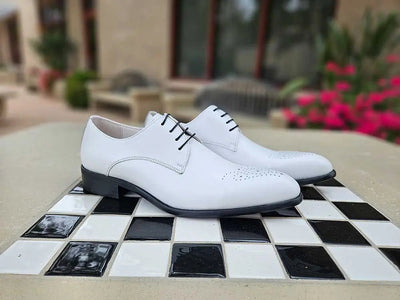 Signature Burnished Lace-up Derby 7 KS479-04OLIVE75  - from alligatorwarehouse.com