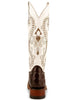 Ferrini Women's Rancher Square Toe Boots Crocodile Print - Chocolate and White 3 90493-09-075-B  - from alligatorwarehouse.com
