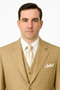 Modern Beige Pinstripe 3-Piece Suit – Office & Party Wear 5   - from alligatorwarehouse.com