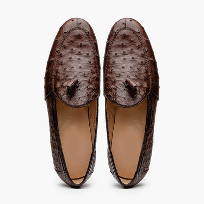 Aubiere Brown Ostrich Loafer 