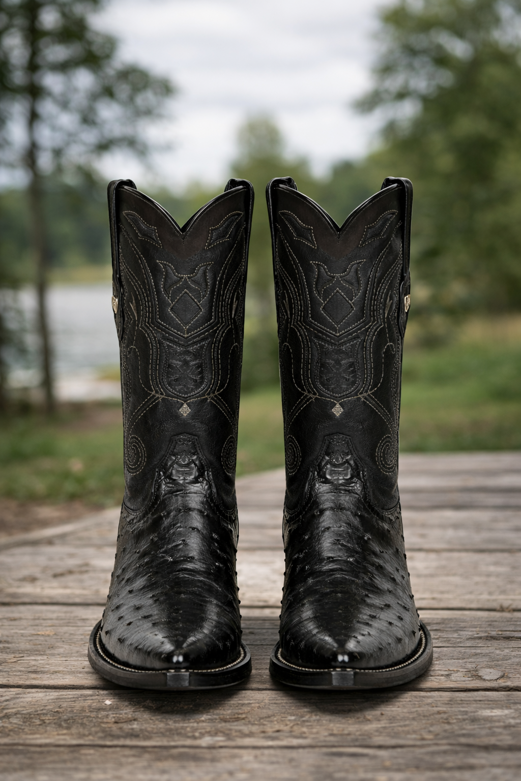 Black Pointed Toe Ostrich Boots