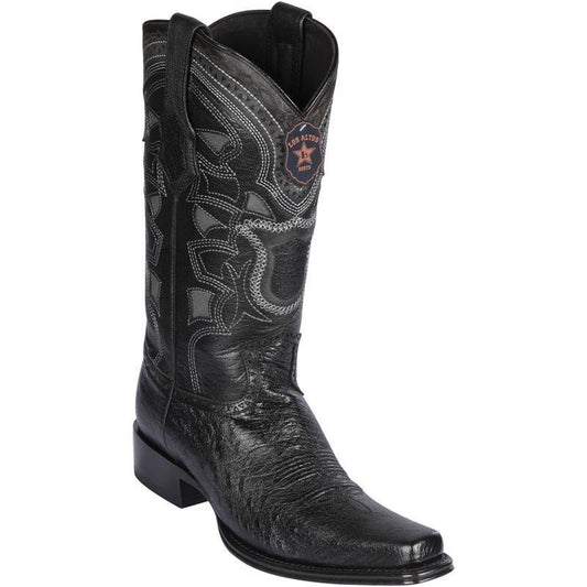 Newest Products Collection - Premium Newest Products at alligatorwarehouse.com